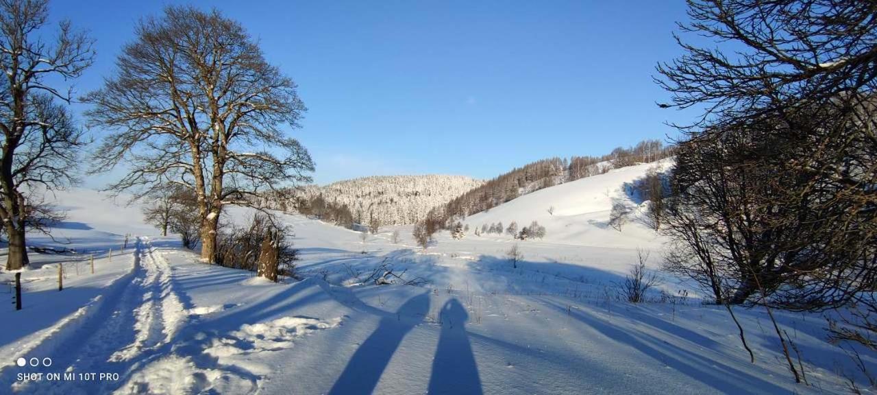 Holiday Home Moldava 外观 照片